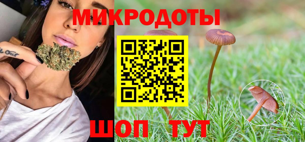 Галлюциногенные грибы Psilocybine cubensis Нижний Новгород