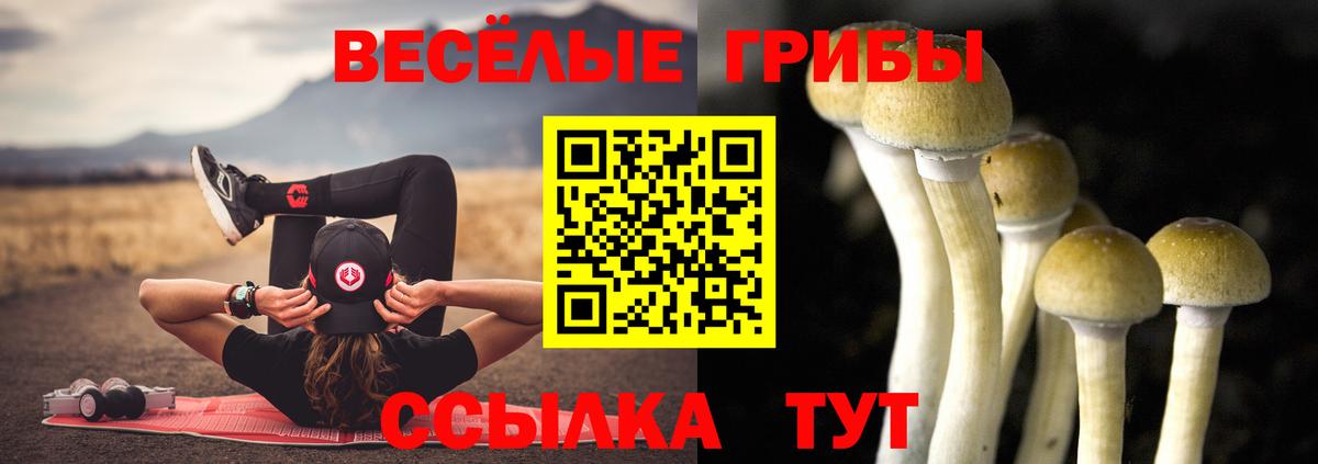 Нижний Новгород  купить закладку  Вход с VPN  Галлюциногенные грибы прущие грибы 