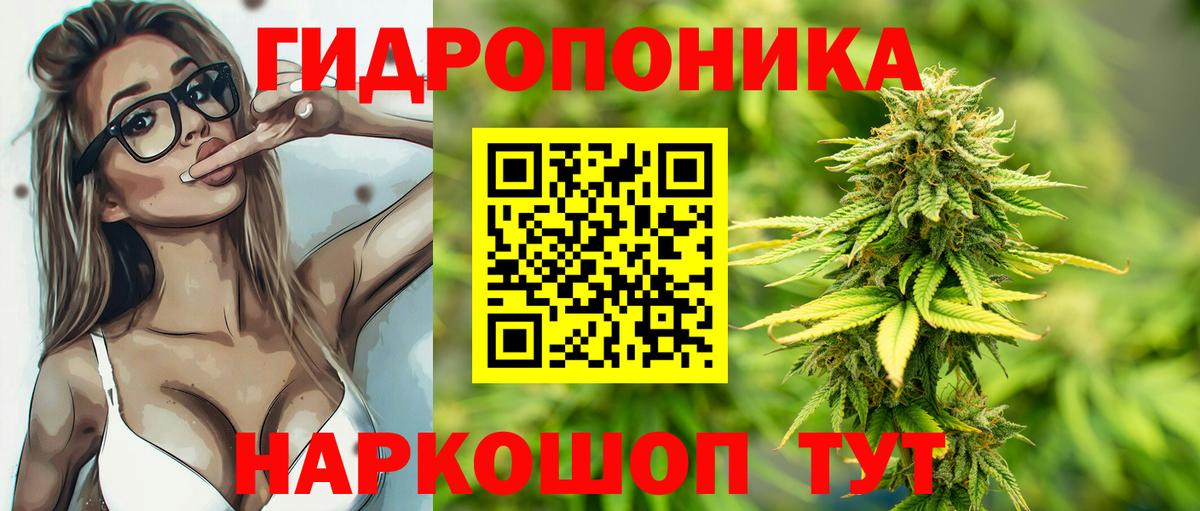 Шишки марихуана сатива  Вход с VPN  Бошки Шишки план  Нижний Новгород 
